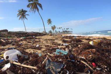 garbage on a beach