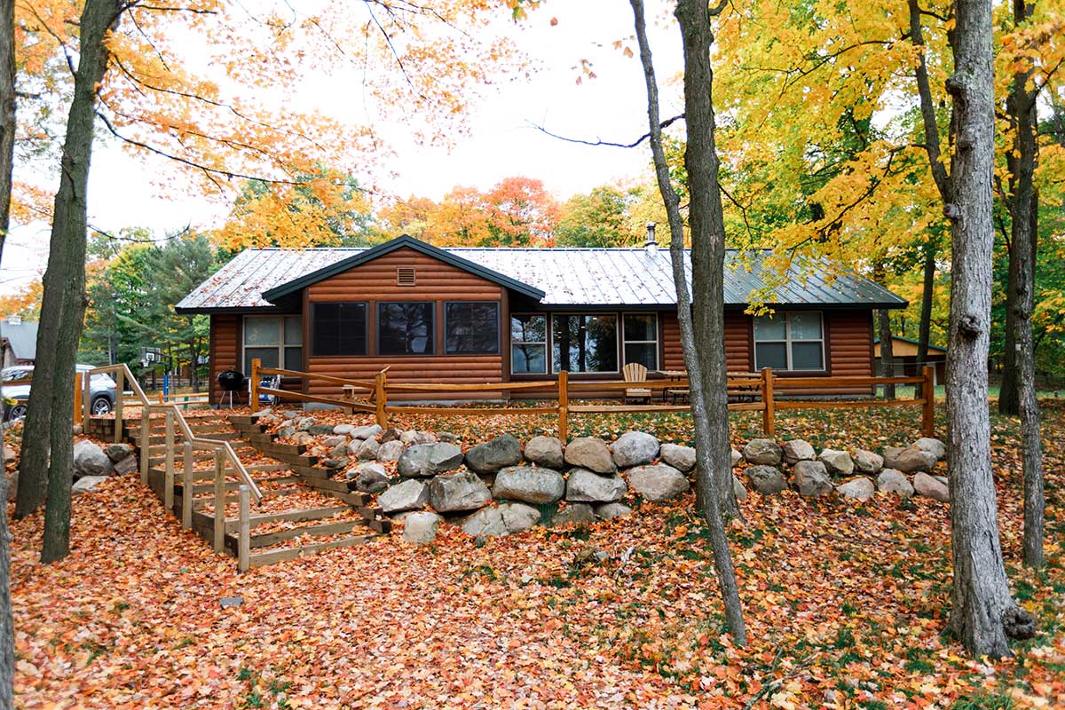 A cabin in the woods