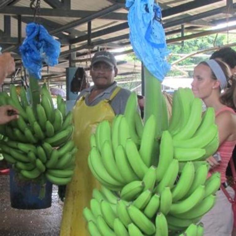 Wheaton Student in Costa Rica