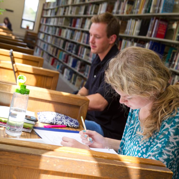 Students Studying at Buswell Library